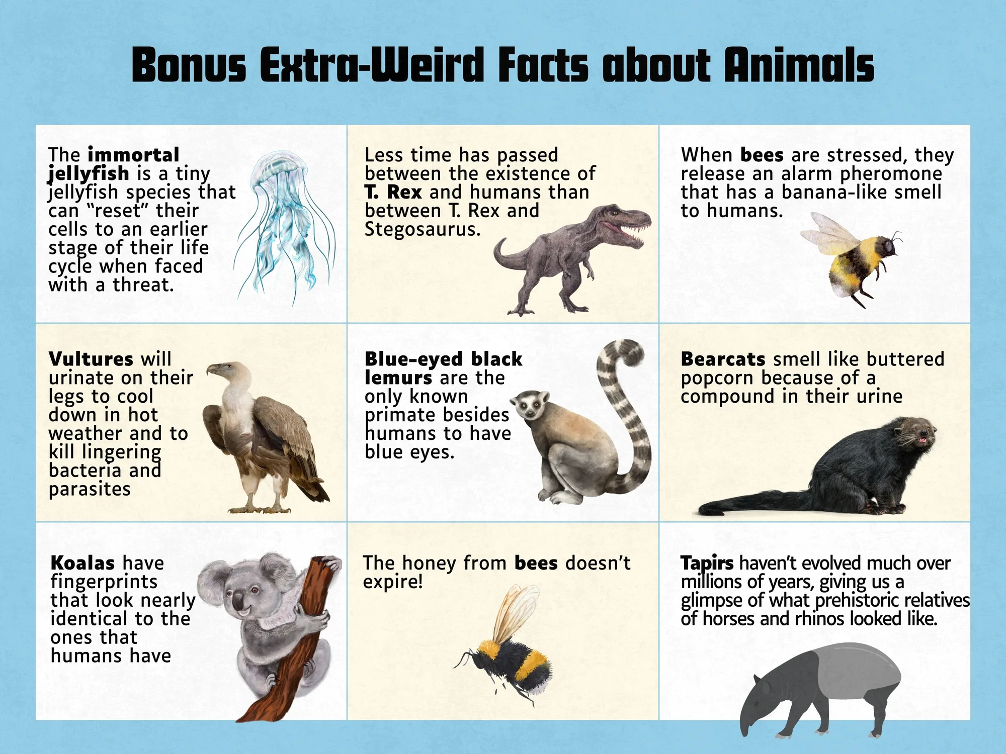 bizarre facts about christmas - Animal performance Overview