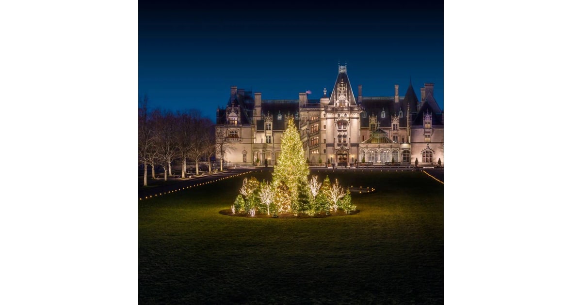 Practice Bizarre Facts About Christmas With Fun Activities