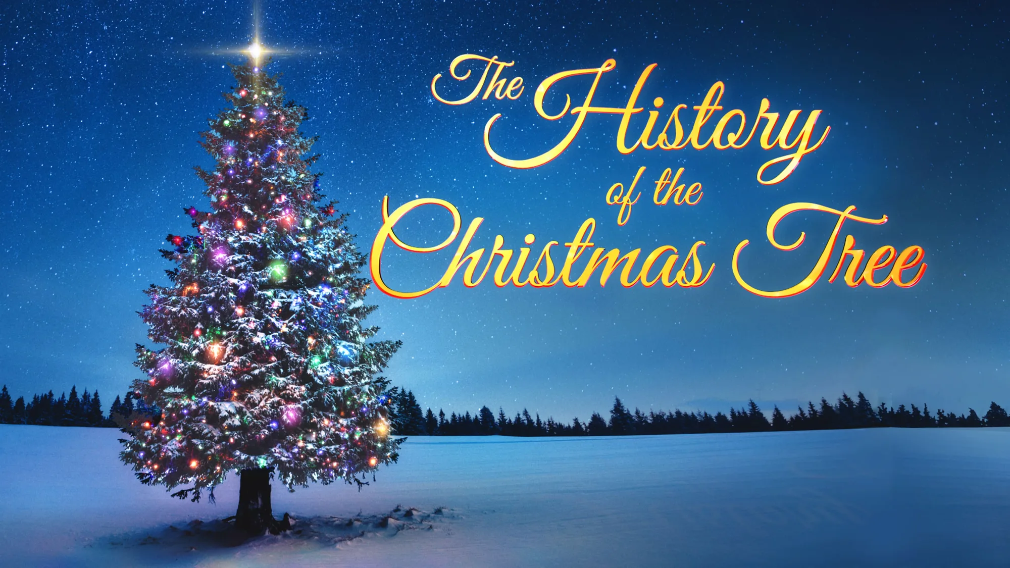 christmas history - History Of The Christmas Tree Ks2 at Kathleen Lynch blog