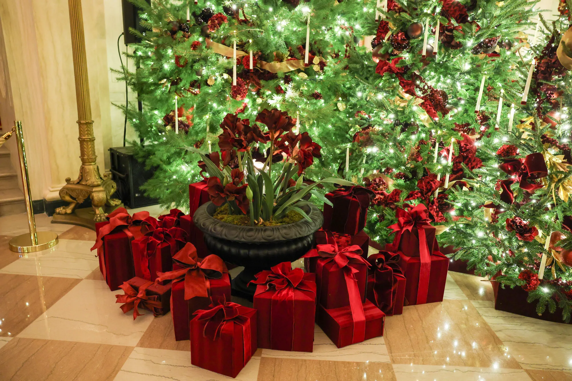 Christmas traditions and activities