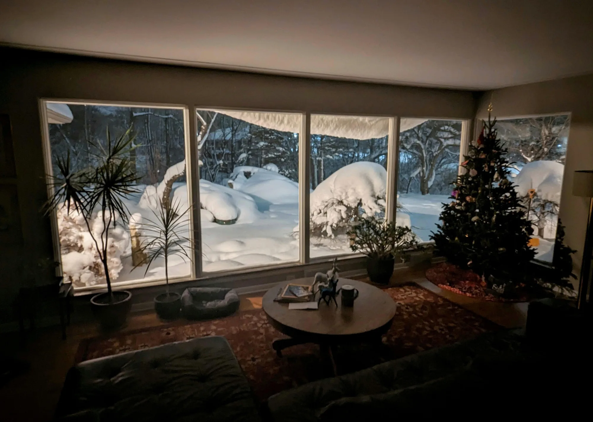 Calm before the storm