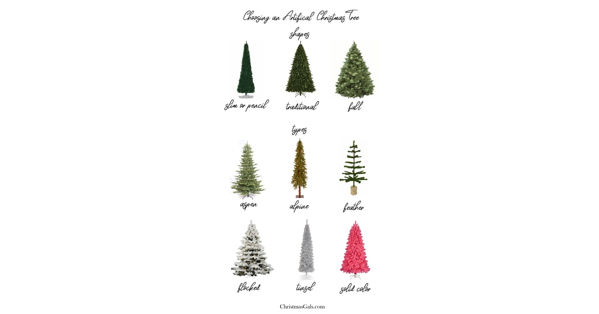 Practice at Home With Different Types of Xmas Trees