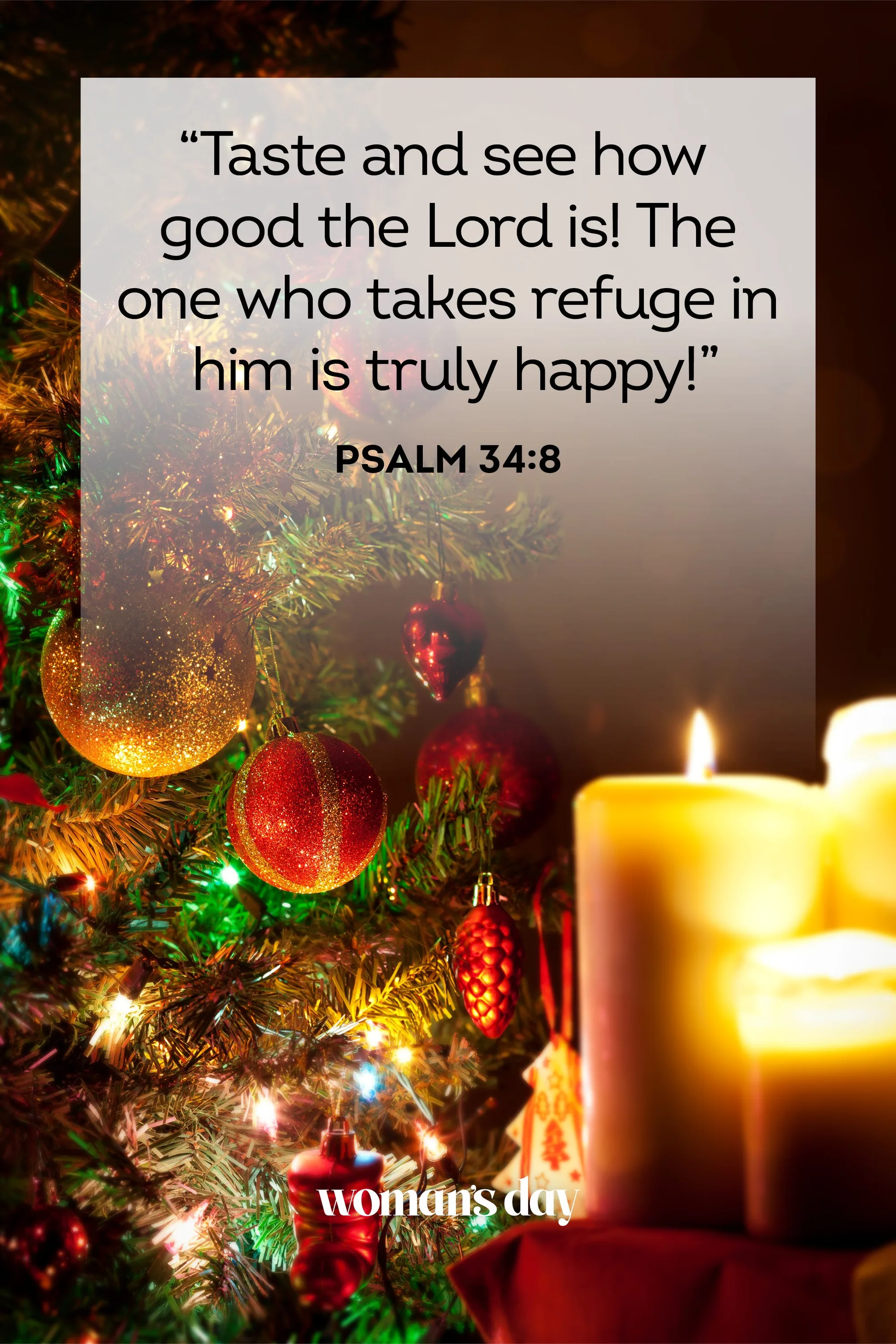 12 days of christmas