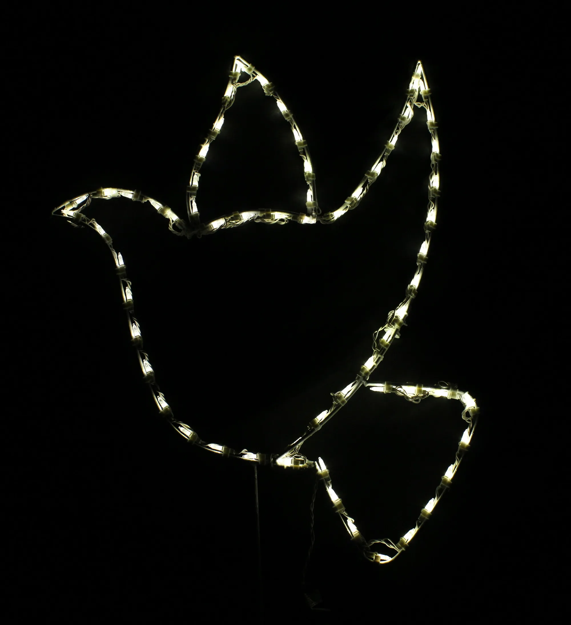 a dove outline display